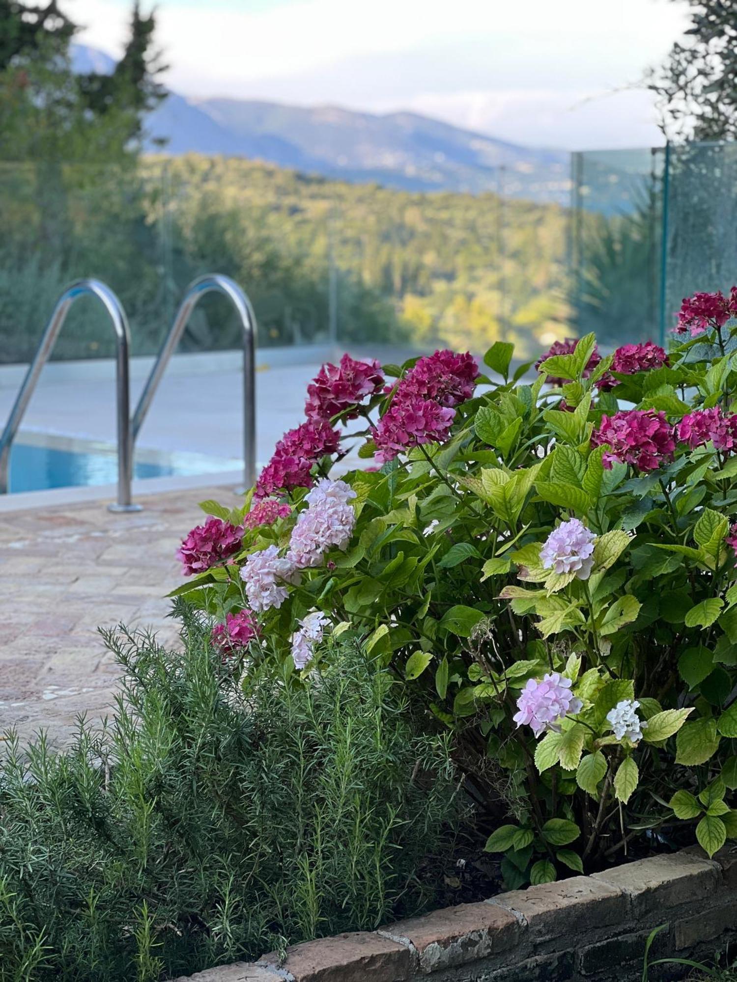 Villa Fioraki